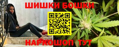 МДПВ Кингисепп