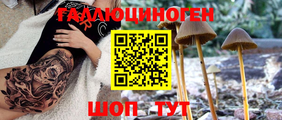 Псилоцибиновые грибы мухоморы Куйбышев