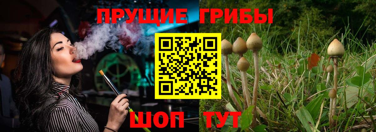 Куйбышев  дарнет шоп  Вход с VPN  Псилоцибиновые грибы мицелий 